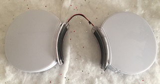 extracted ear assembly